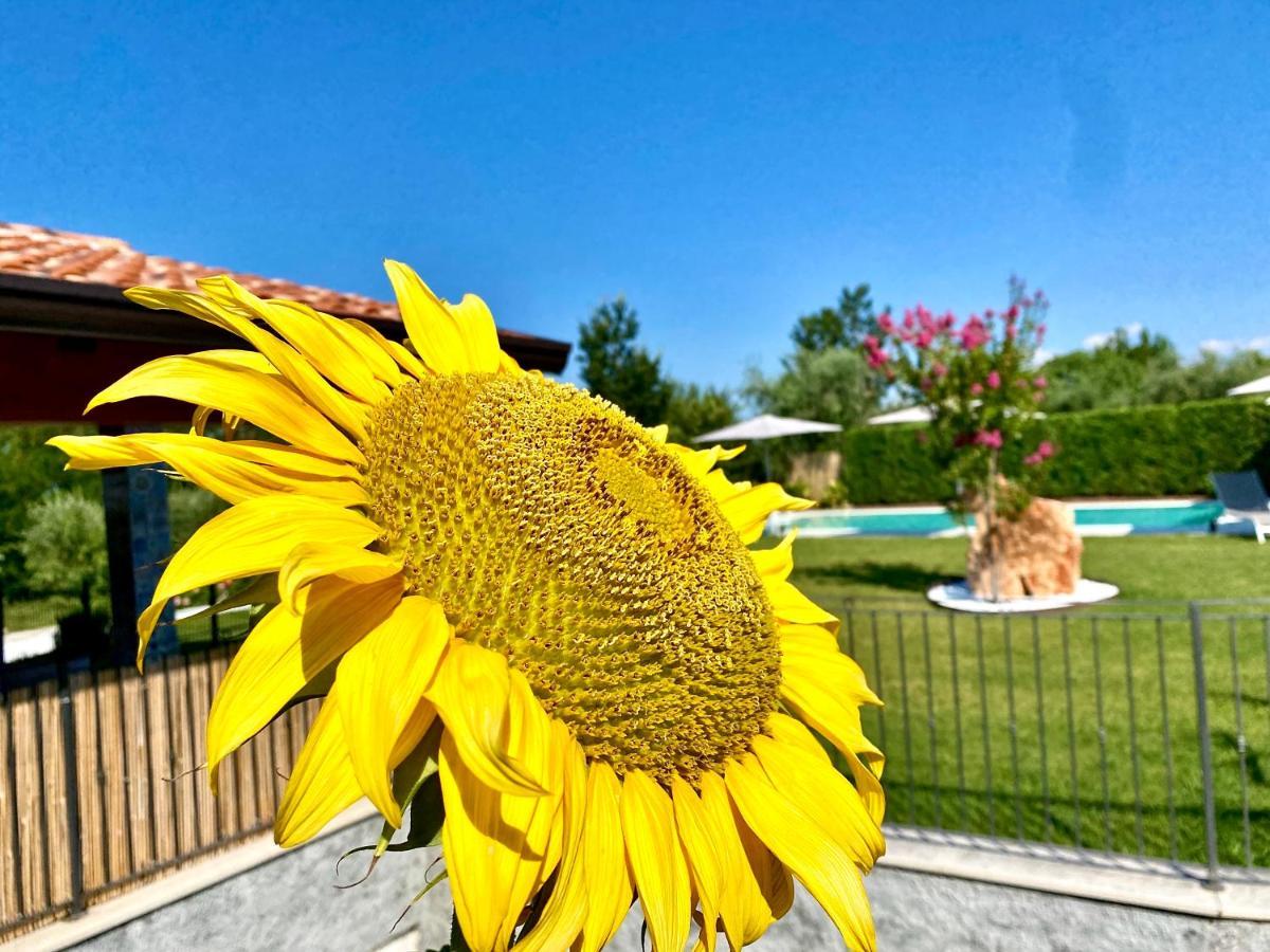 Villa Poggio باردولينو المظهر الخارجي الصورة