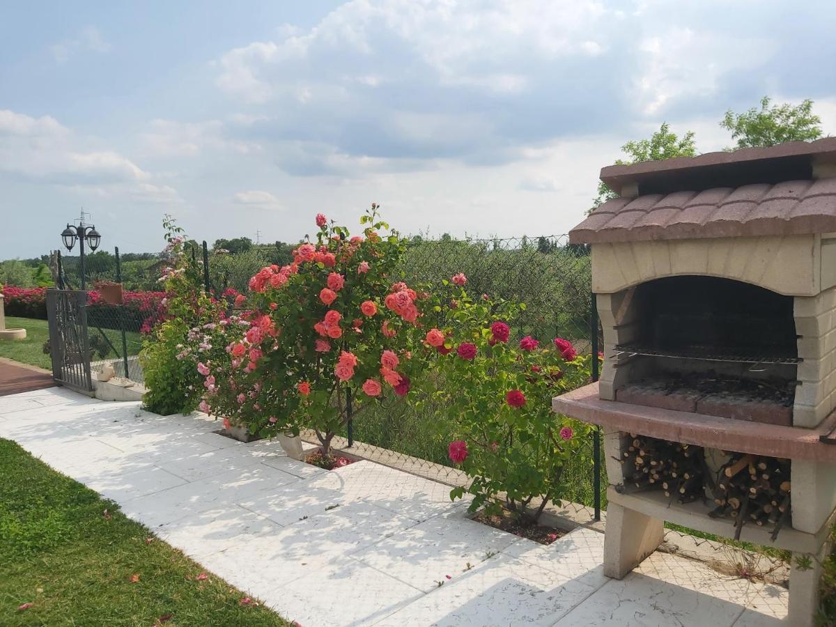 Villa Poggio باردولينو المظهر الخارجي الصورة