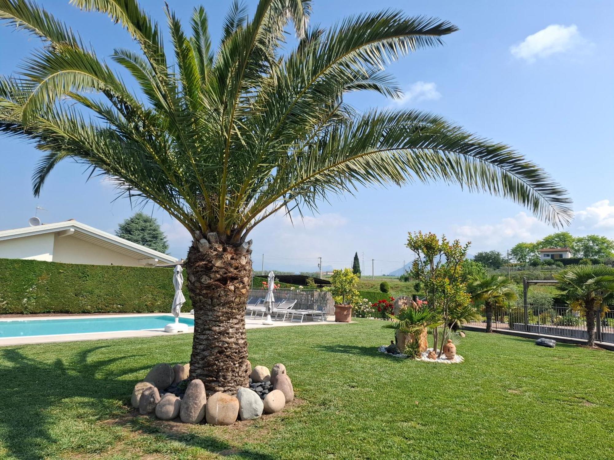 Villa Poggio باردولينو المظهر الخارجي الصورة