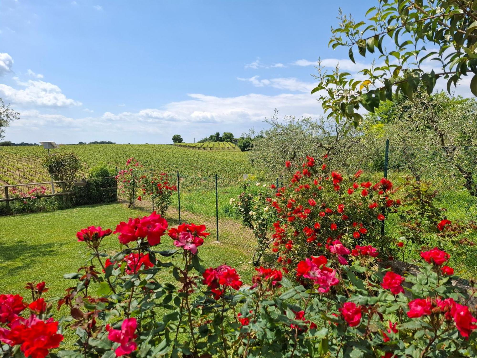 Villa Poggio باردولينو المظهر الخارجي الصورة