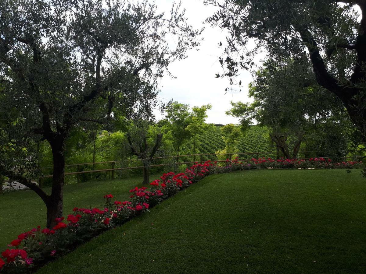 Villa Poggio باردولينو المظهر الخارجي الصورة