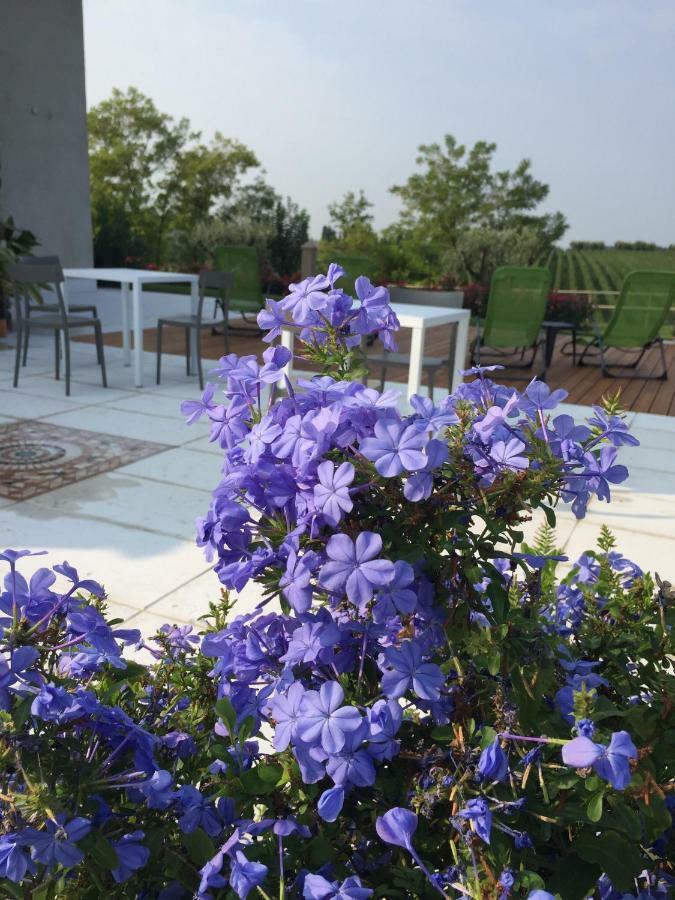 Villa Poggio باردولينو المظهر الخارجي الصورة